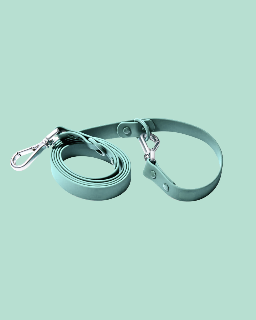 PREORDER: Leash