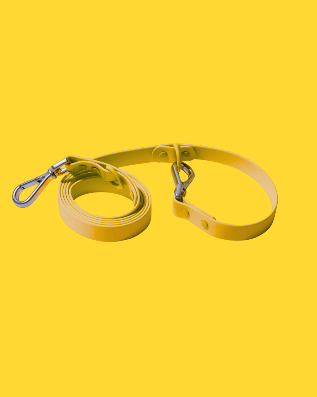 PREORDER: Leash