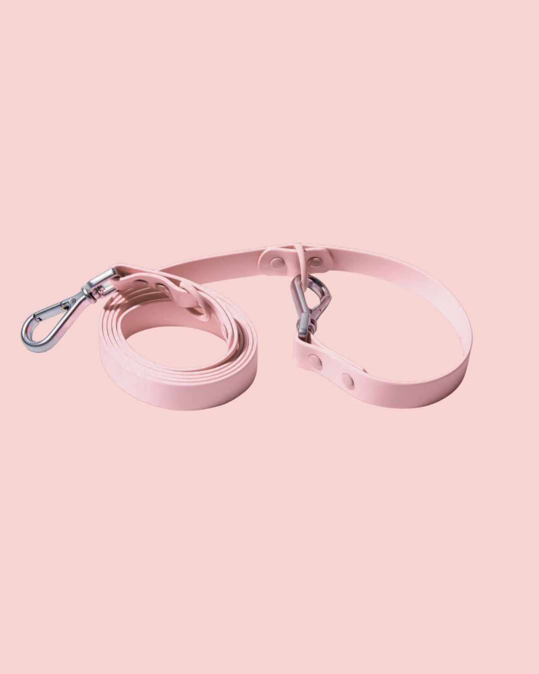 PREORDER: Leash