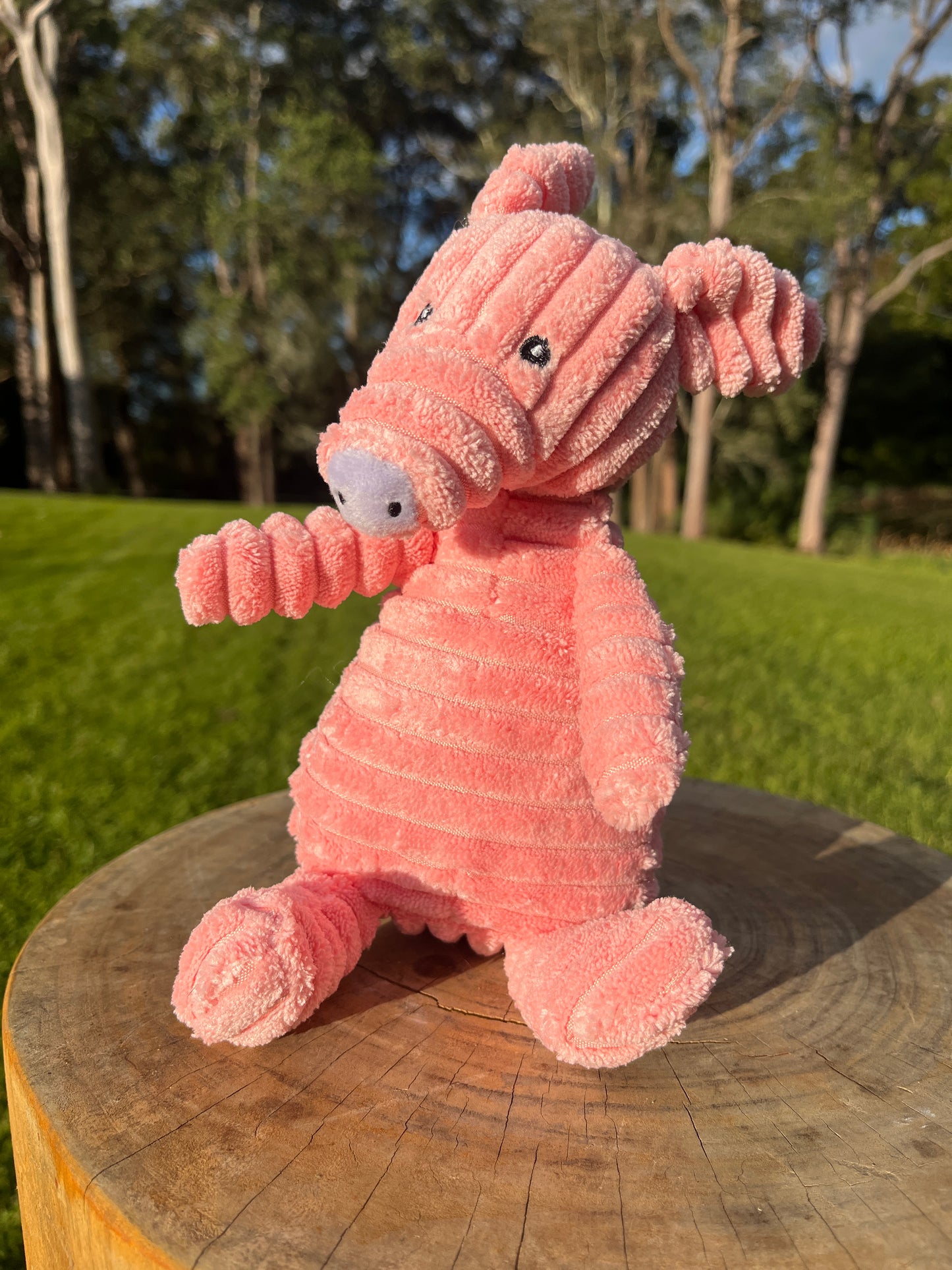 Corduroy Crew – Plush Dog Toys with Big Personality