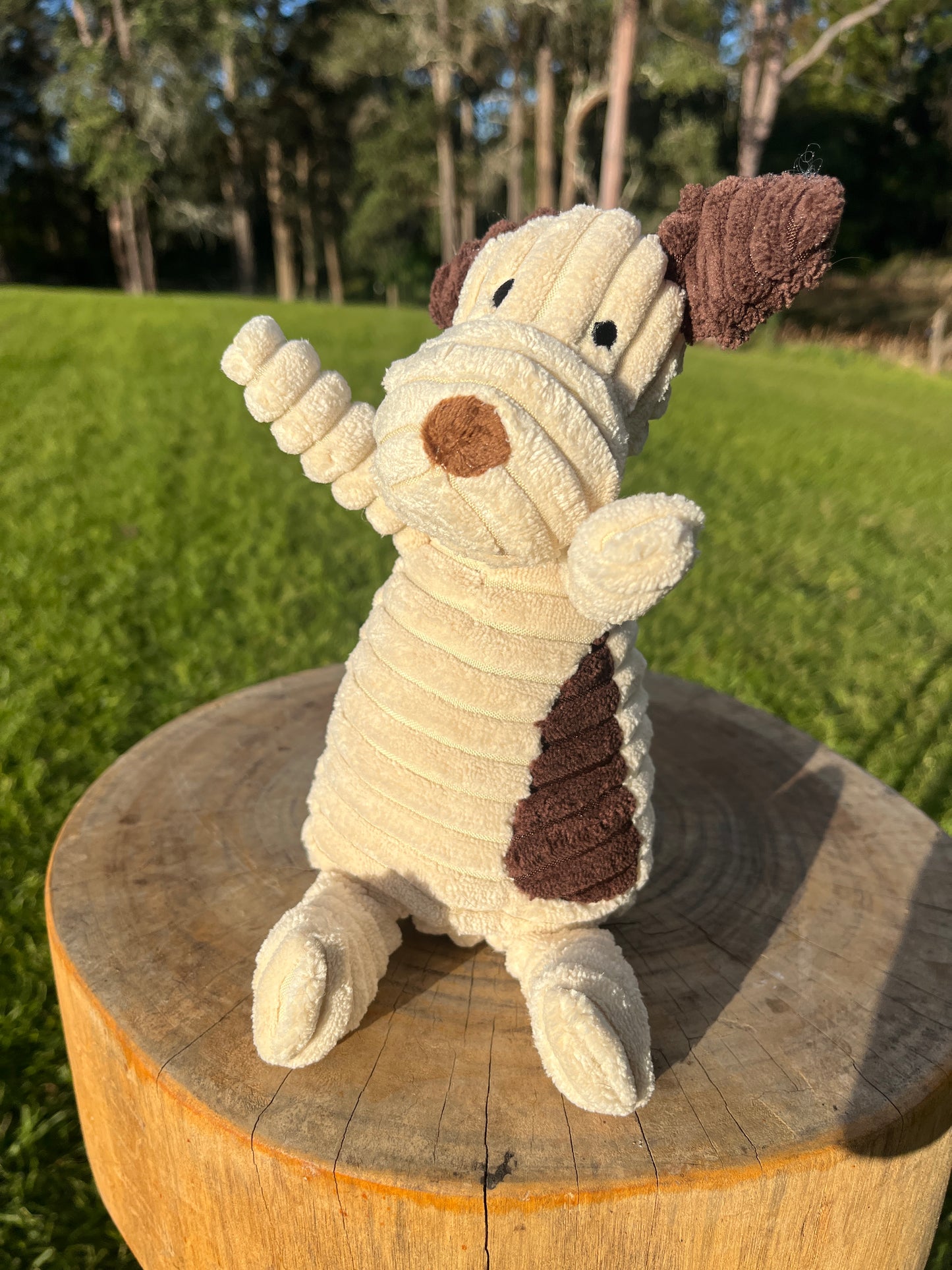 Corduroy Crew – Plush Dog Toys with Big Personality