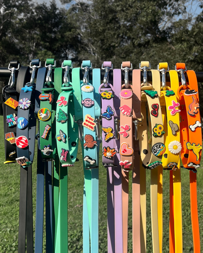 Frankley Charm Collar