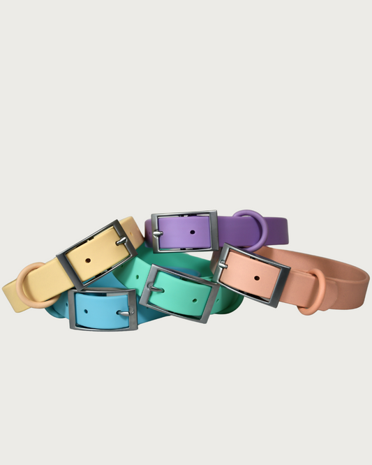 The OG Collar
